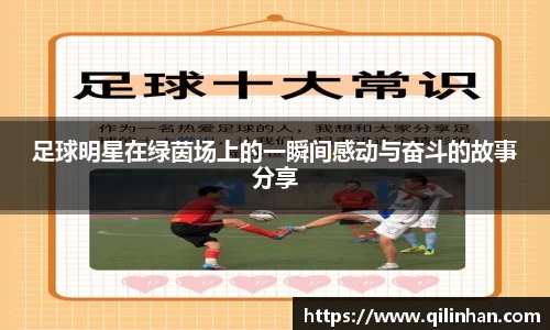 足球明星在绿茵场上的一瞬间感动与奋斗的故事分享